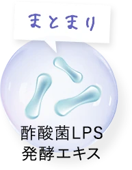 艶髪補修　酢酸菌LPS発酵エキス